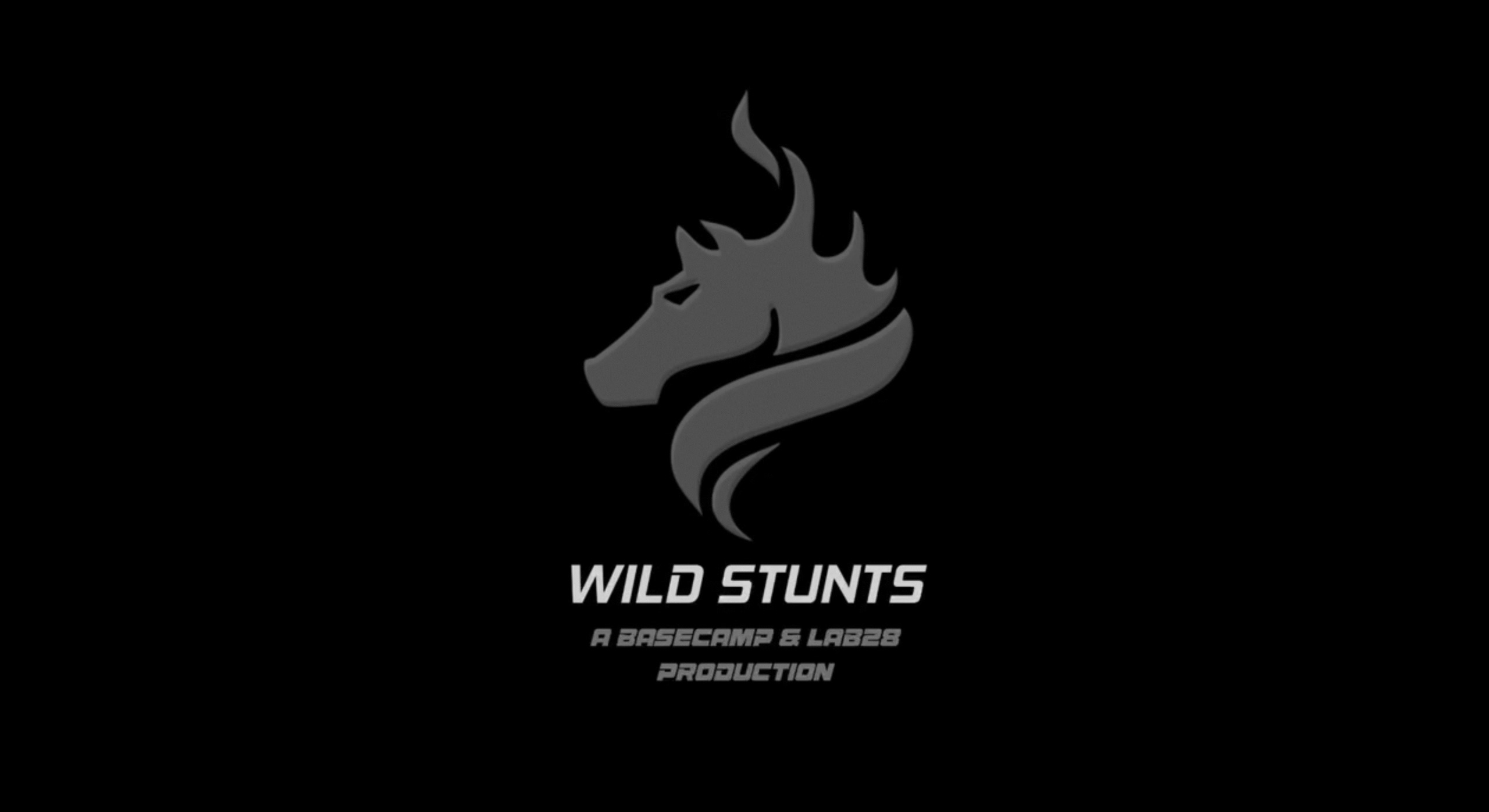 WILD STUNTS: THE RUNDOWN